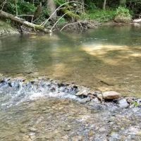 Czar Haus Cabins and RV Sites ico