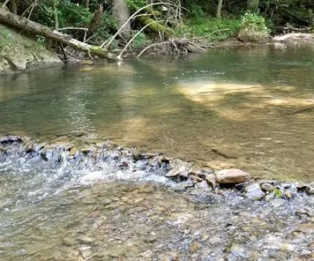 Czar Haus Cabins and RV Sites