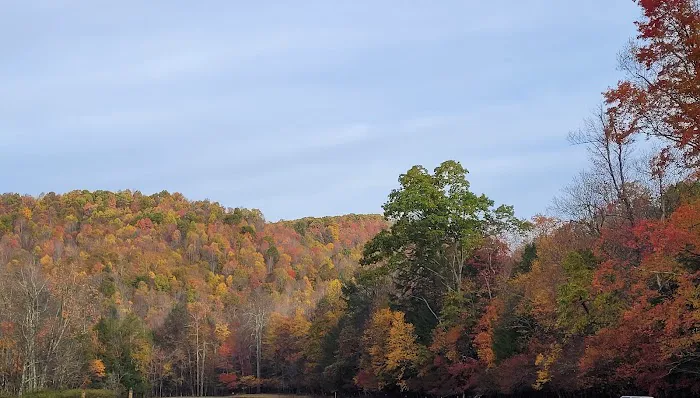 Czar Haus Cabins and RV Sites Picture 9