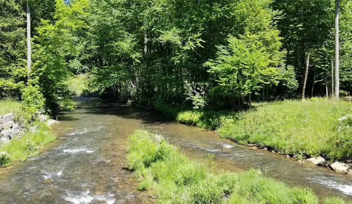 Czar Haus Cabins and RV Sites Picture 6