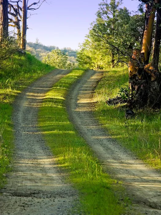 Czar Haus Cabins and RV Sites Picture 7