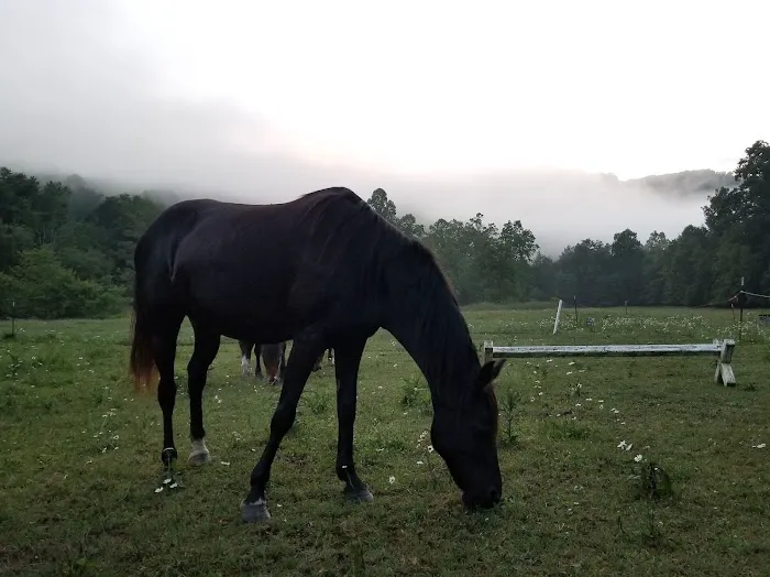 Czar Haus Cabins and RV Sites Picture 4