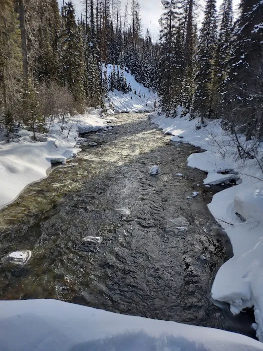 Upper Whitefish Campground Picture 7