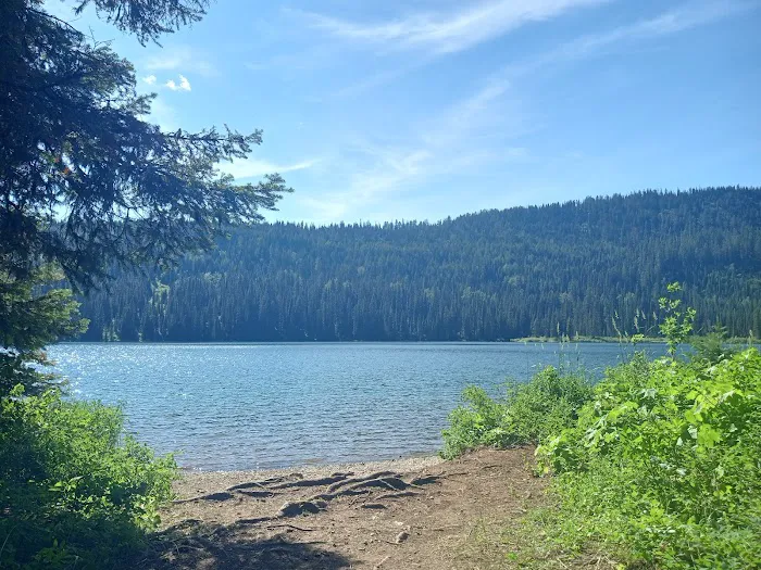 Upper Whitefish Campground Picture 5