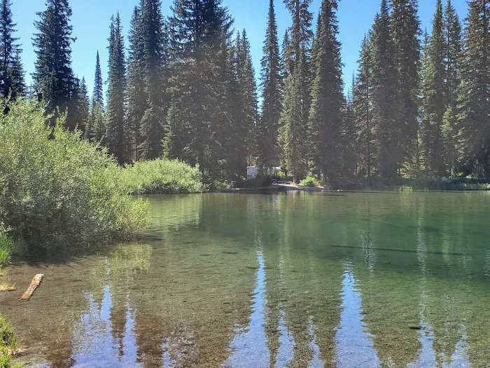 Upper Whitefish Campground Picture 9