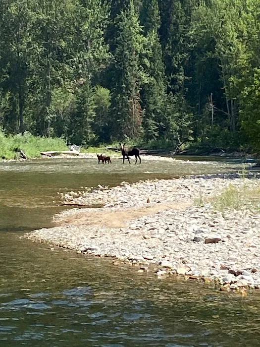 Clearwater Crossing Campground Picture 10