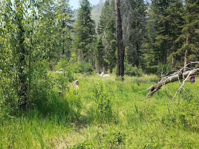 Clearwater Crossing Campground Picture 7