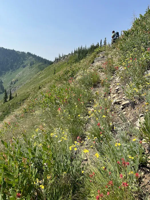 Clearwater Crossing Campground Picture 3