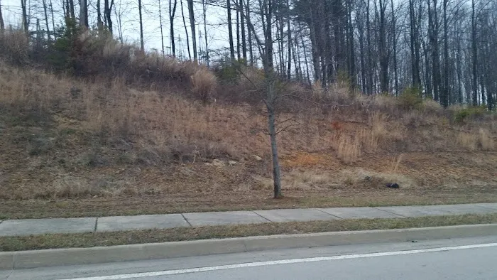 East Park Mobile Home Village Picture 5
