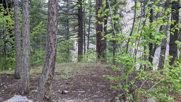 Triple Bridges Campground Picture 2