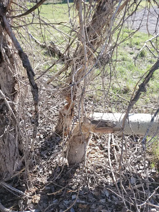 Triple Bridges Campground Picture 6