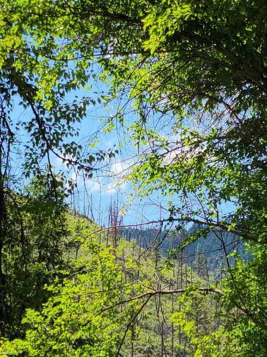 Big Pine Campground Picture 5