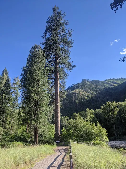 Big Pine Campground Picture 10