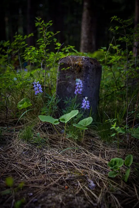 Kreis Pond Campground Picture 2