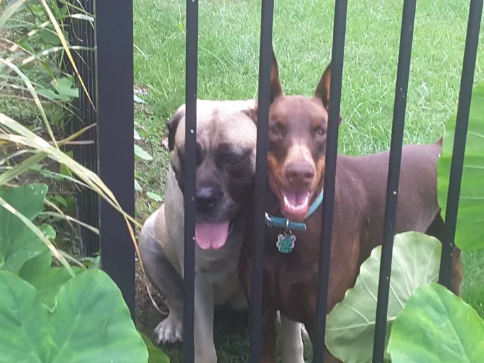 Oakdale Village Mobile City, LLC Picture 2