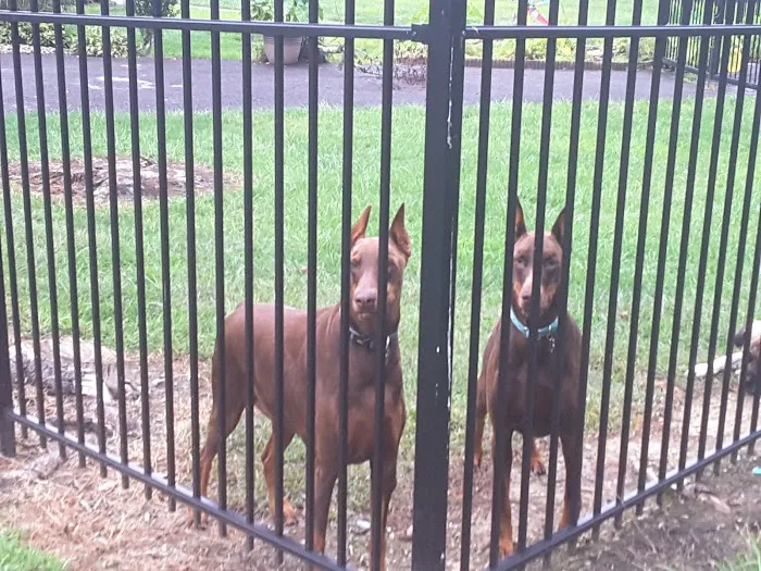 Oakdale Village Mobile City, LLC Picture 8