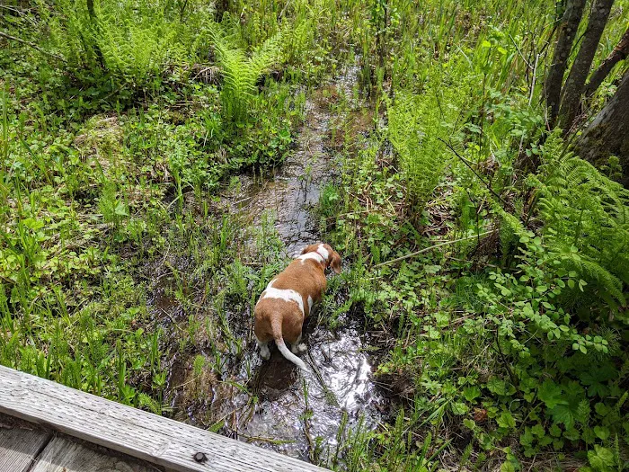 Wilderness Gateway Campground Picture 7