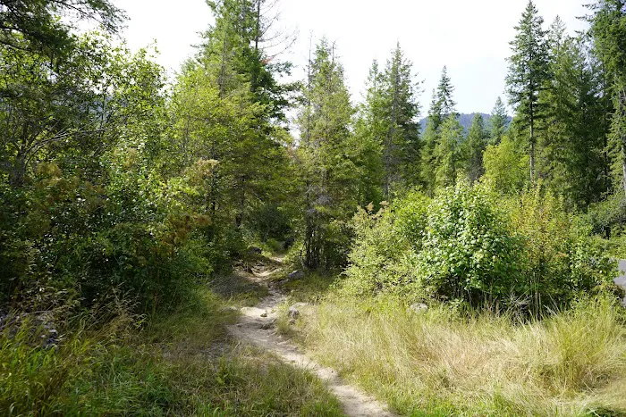 Wilderness Gateway Campground Picture 3