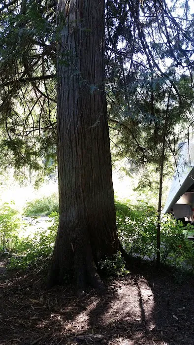 Knife Edge Campground and River Access Picture 2