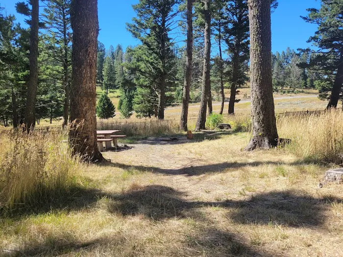 Knife Edge Campground and River Access Picture 7