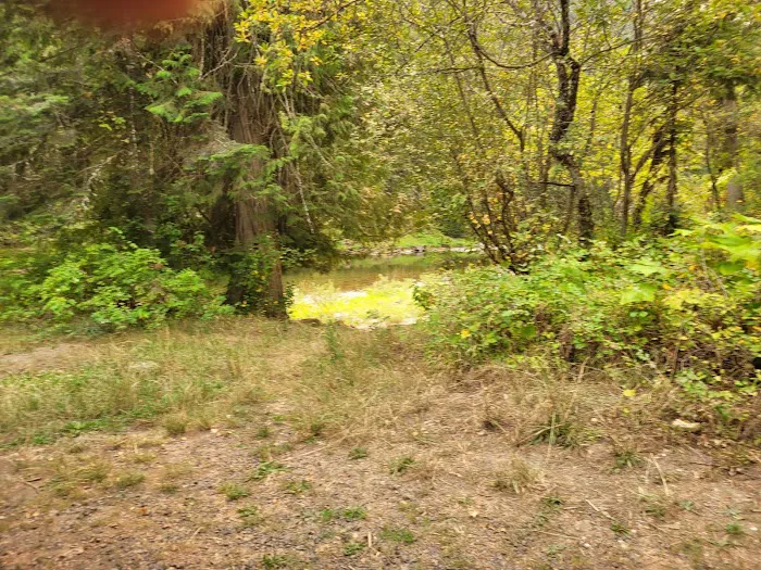 Knife Edge Campground and River Access Picture 6