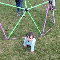 Zane Village & Sales ico