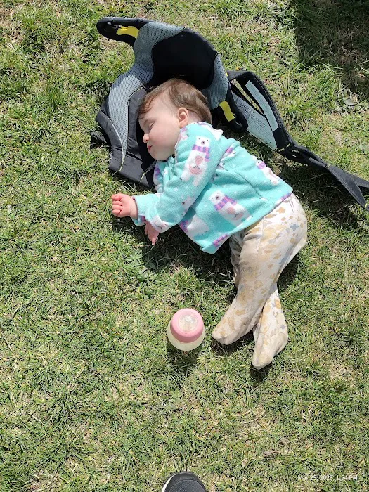 Zane Village & Sales Picture 2