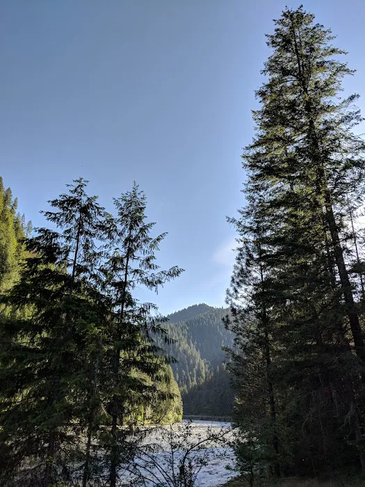 Apgar Campground Picture 4