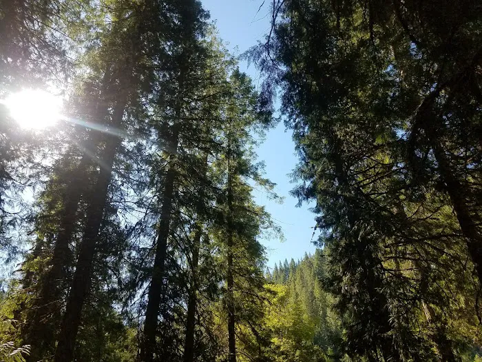 Apgar Campground Picture 7