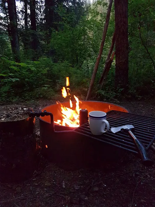 Apgar Campground Picture 9