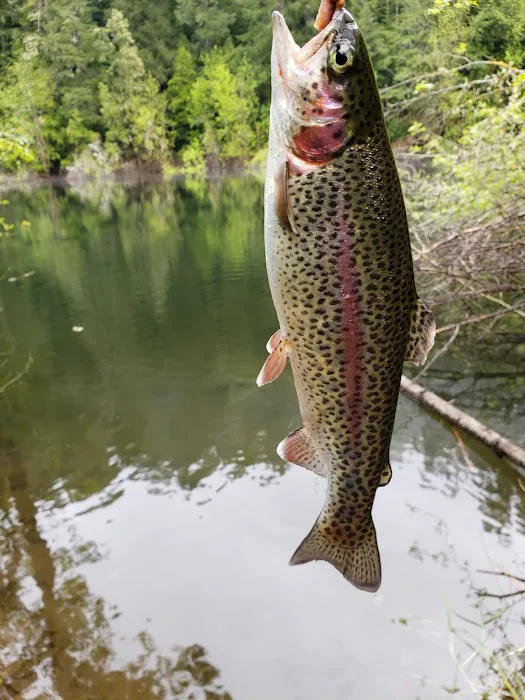 Sru Lake Campground Picture 3