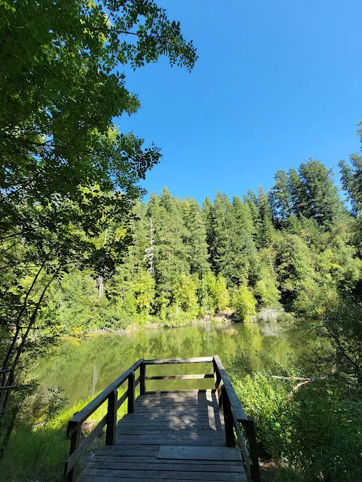 Sru Lake Campground Picture 7