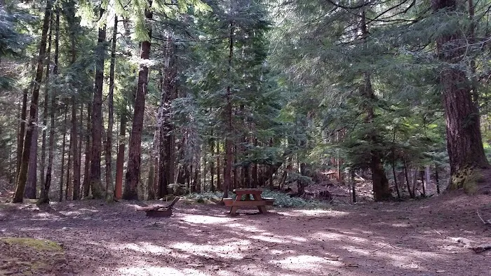 Sru Lake Campground Picture 6