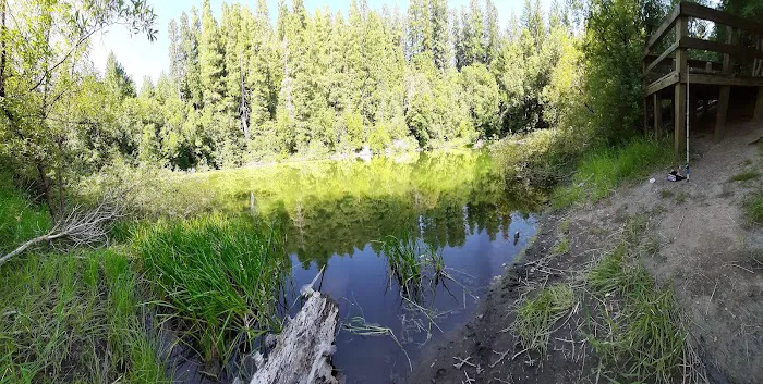 Sru Lake Campground Picture 9