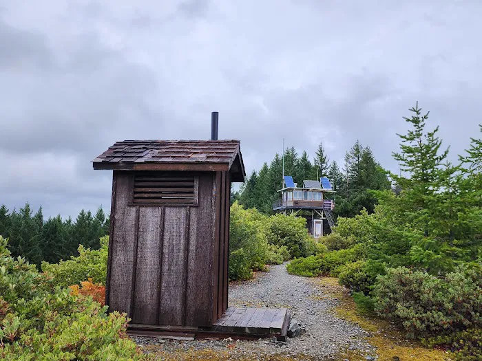 Lake Of The Woods Lookout Picture 3