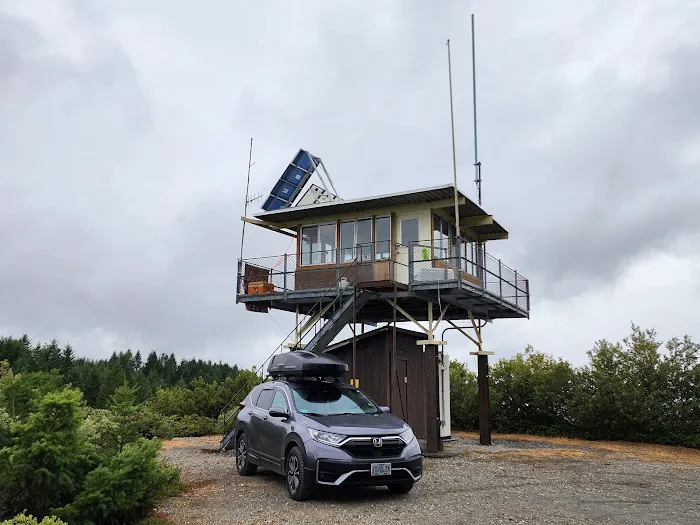 Lake Of The Woods Lookout Picture 6