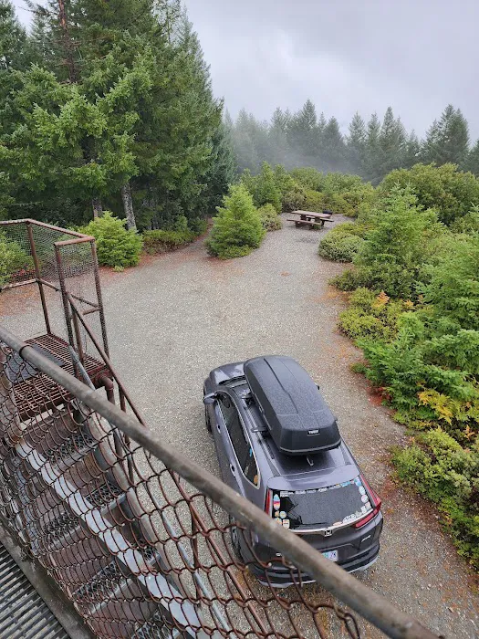 Lake Of The Woods Lookout Picture 2