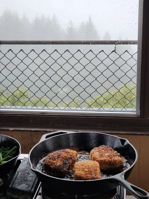 Lake Of The Woods Lookout Picture 1