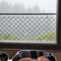 Lake Of The Woods Lookout ico