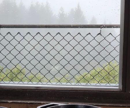 Lake Of The Woods Lookout