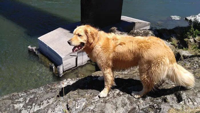 Lobster Creek Forest Service Campground Picture 10