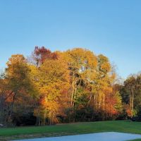 JM Enterprise & RV ico