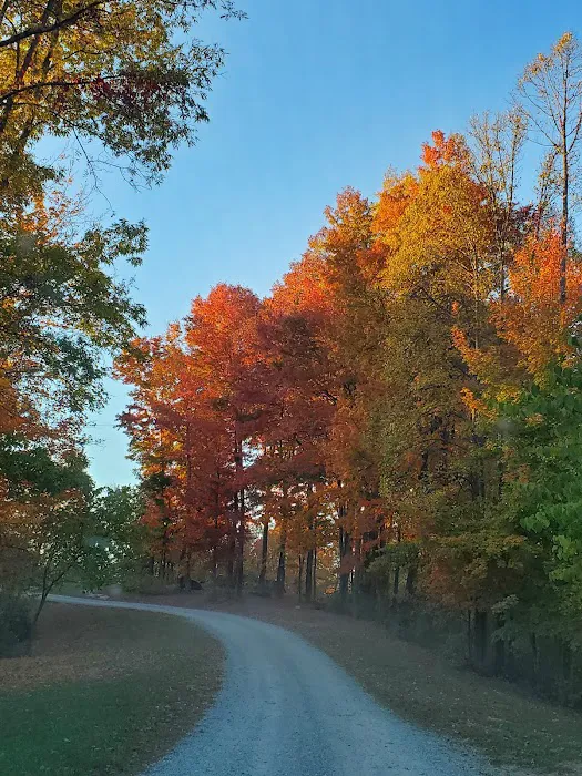 JM Enterprise & RV Picture 2