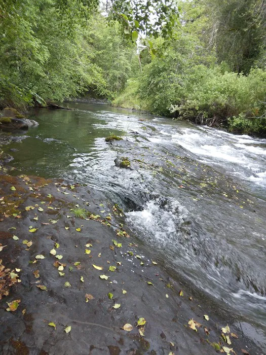 Foster Bar Campground Picture 1