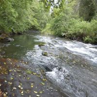 Foster Bar Campground ico