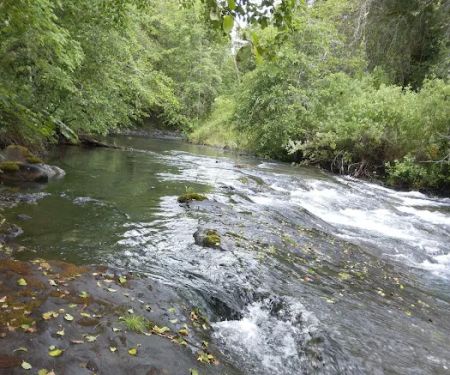 Foster Bar Campground