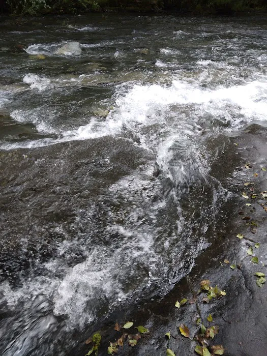 Foster Bar Campground Picture 3