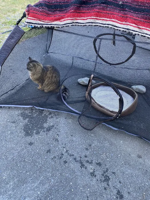 Quosatana Campground Picture 9