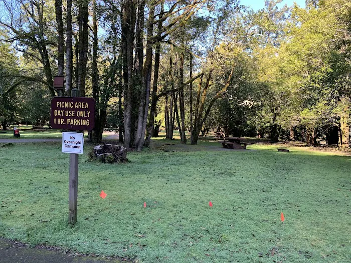 Quosatana Campground Picture 4