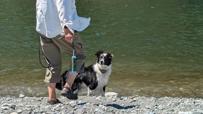 Huntley Park Picture 2